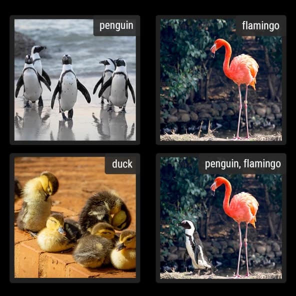 Image Classification