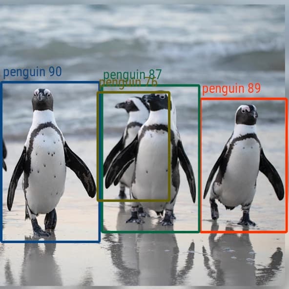 Object Detection