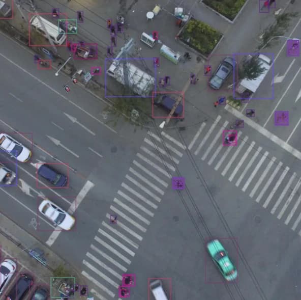 Monitoring/Movement Processes